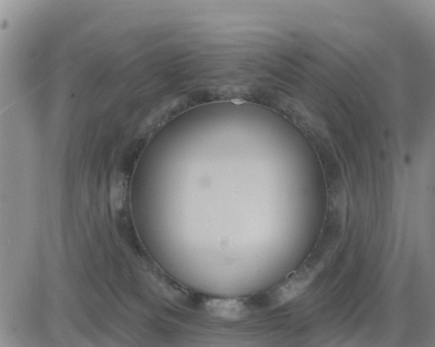 X0000080690133200612301459