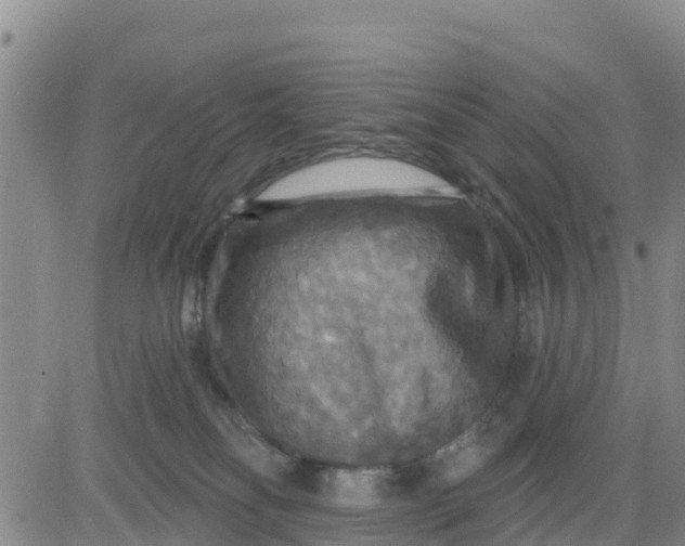 X0000080690134200612301459