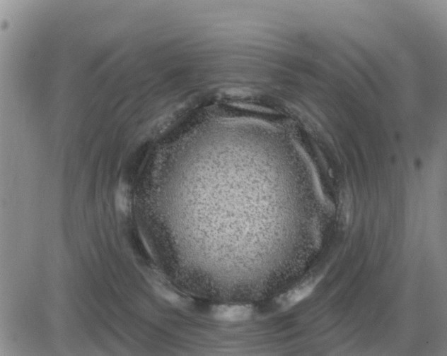 X0000080690135200612301459