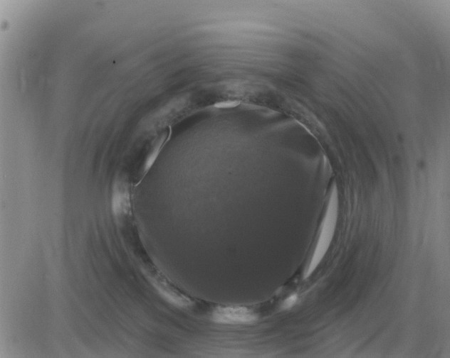 X0000080690137200612301459