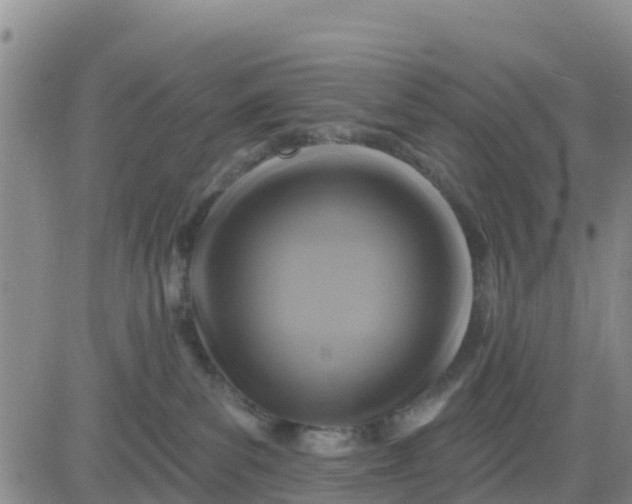 X0000080690139200612301459