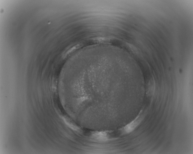 X0000080690140200612301459