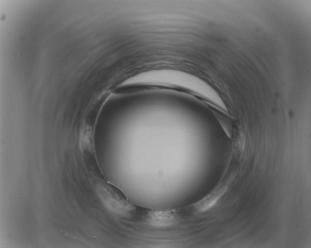 X0000080690141200612301459