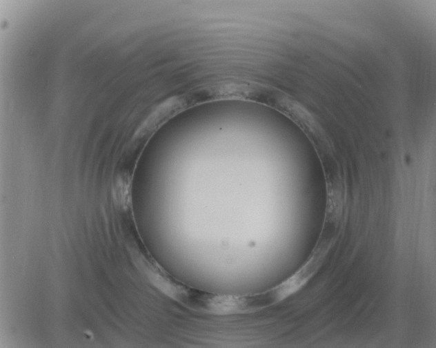 X0000080690142200612301459