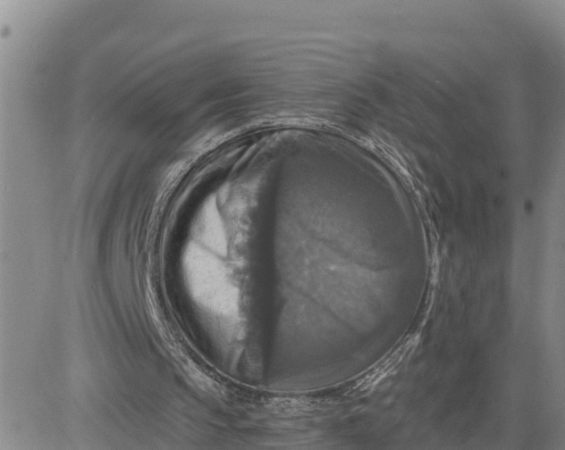 X0000080690145200612301458