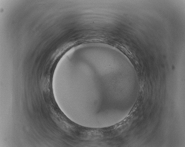 X0000080690146200612301458