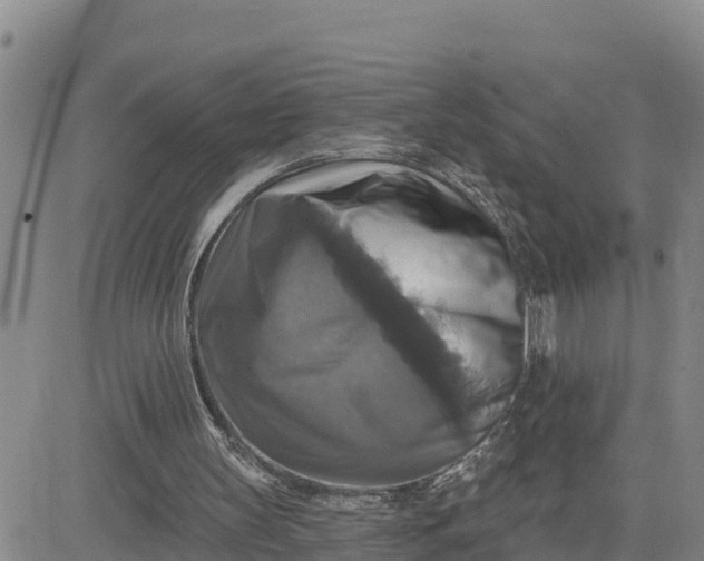 X0000080690147200612301458