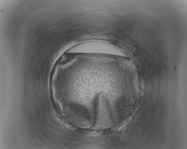 X0000080690148200612301458