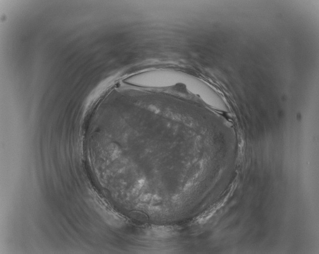 X0000080690149200612301458