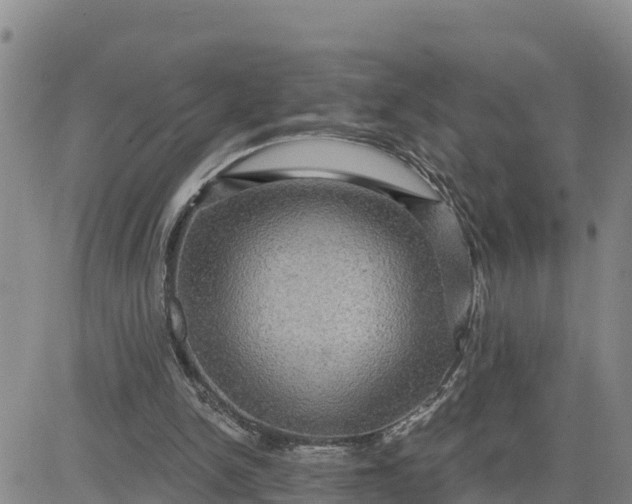 X0000080690150200612301458