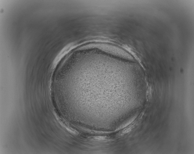 X0000080690151200612301458