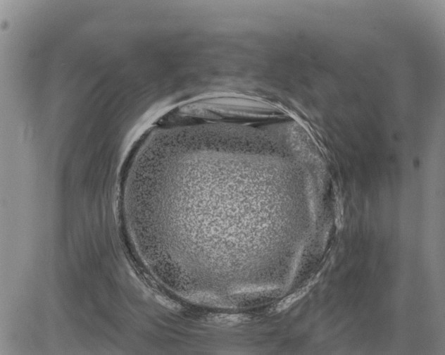 X0000080690152200612301458