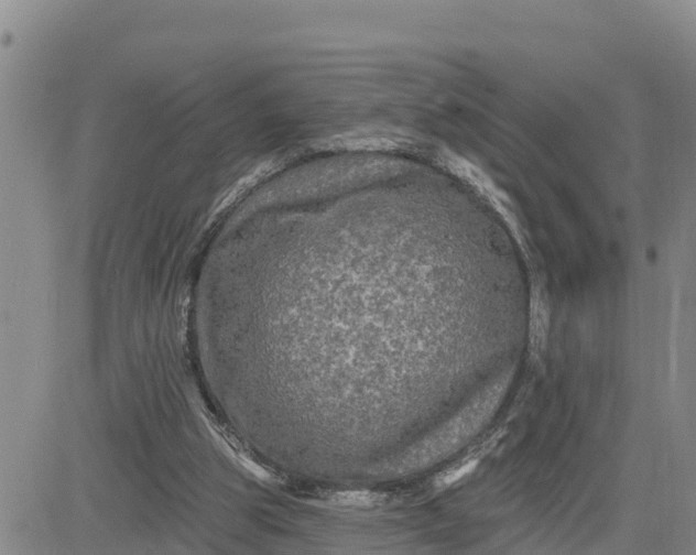 X0000080690153200612301458