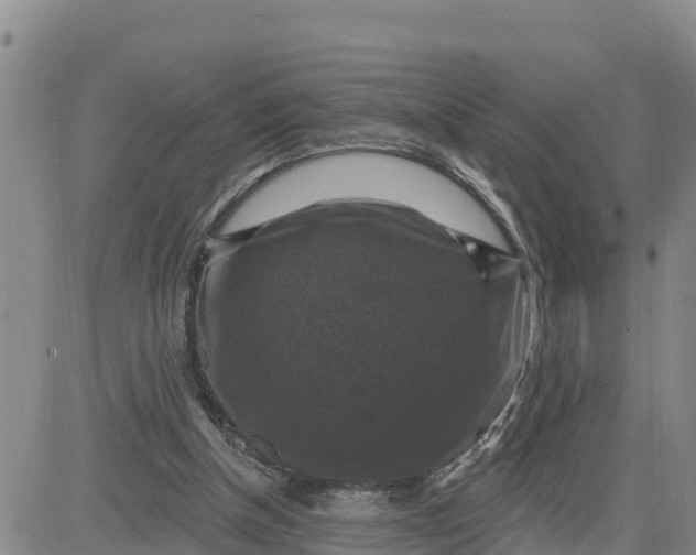 X0000080690154200612301458