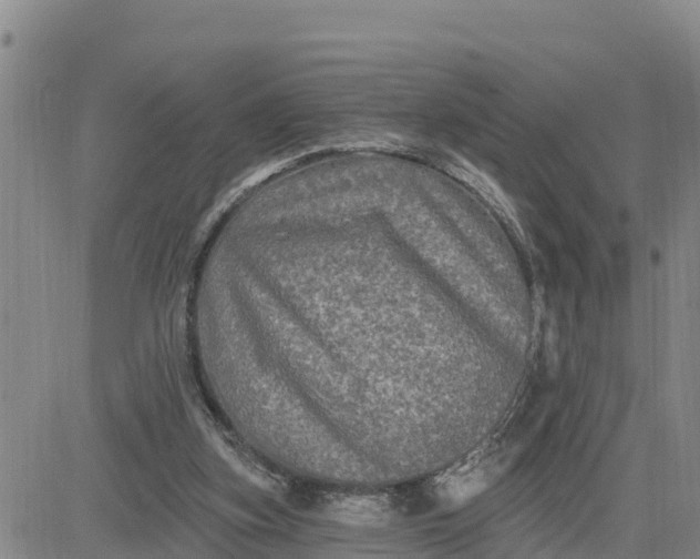 X0000080690155200612301458