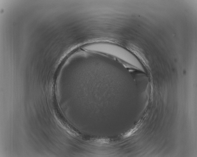 X0000080690156200612301458