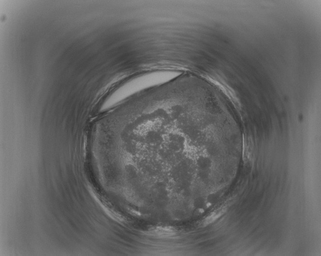 X0000080690157200612301458