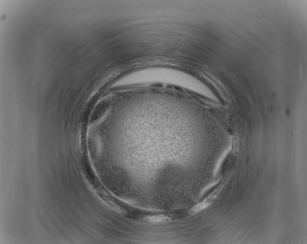 X0000080690158200612301458