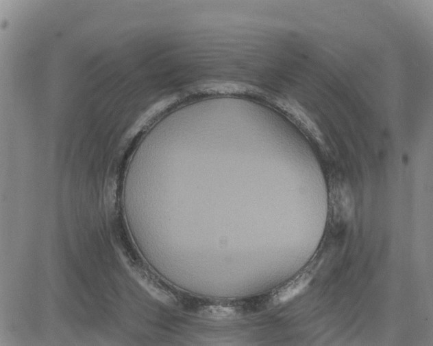 X0000080690159200612301458