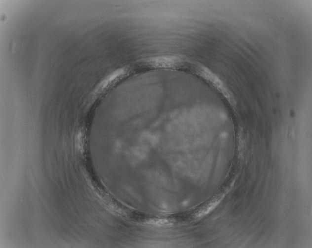 X0000080690161200612301458