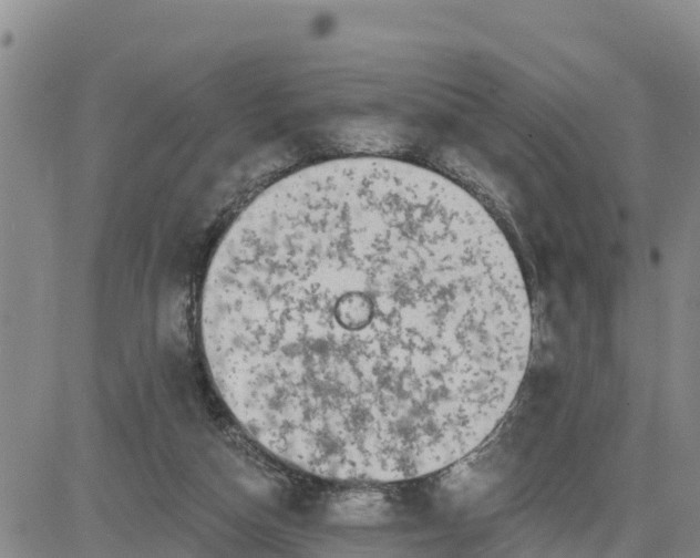 X0000080690162200612301458