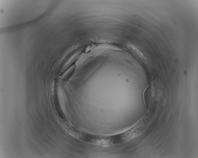 X0000080690163200612301458