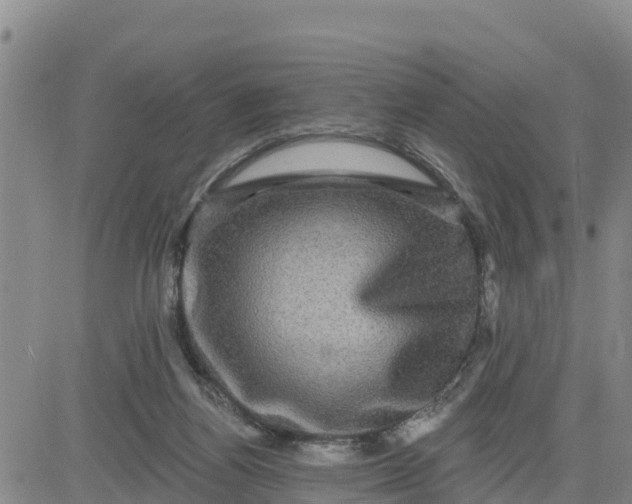 X0000080690164200612301458