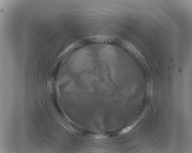 X0000080690165200612301458