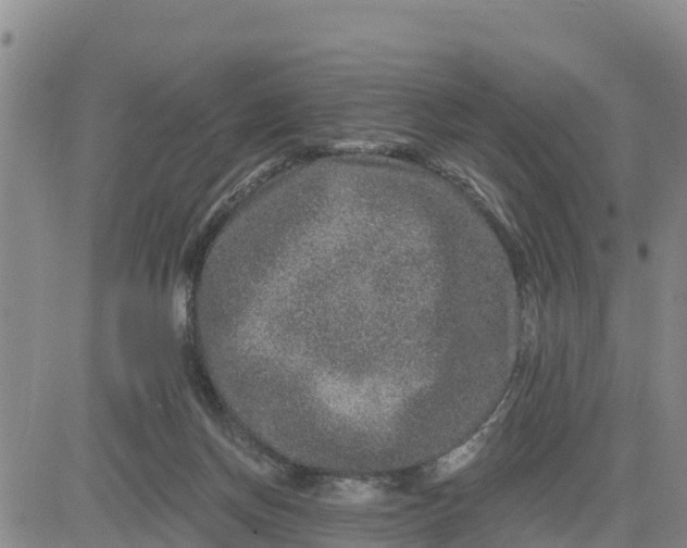 X0000080690166200612301458