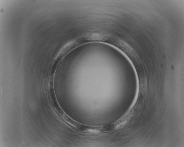 X0000080690167200612301458