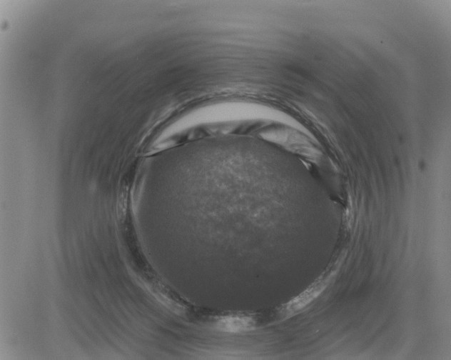 X0000080690168200612301458