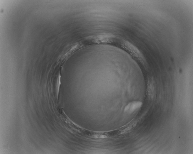 X0000080690169200612301458