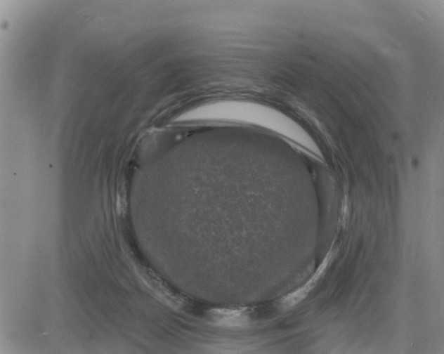 X0000080690170200612301458