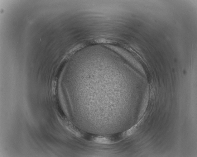 X0000080690171200612301458