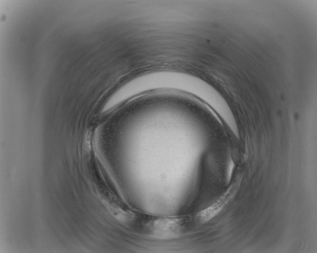 X0000080690172200612301458