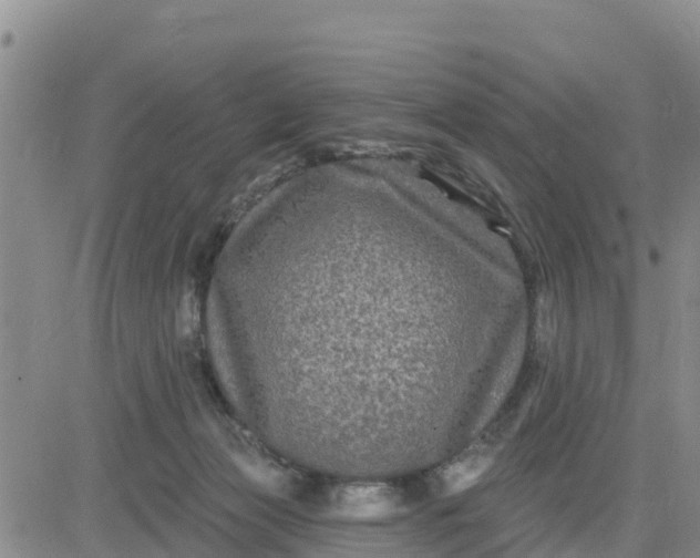 X0000080690173200612301458