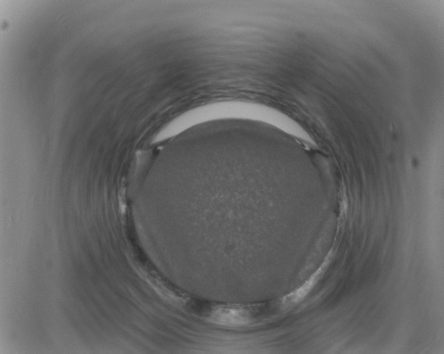 X0000080690174200612301458