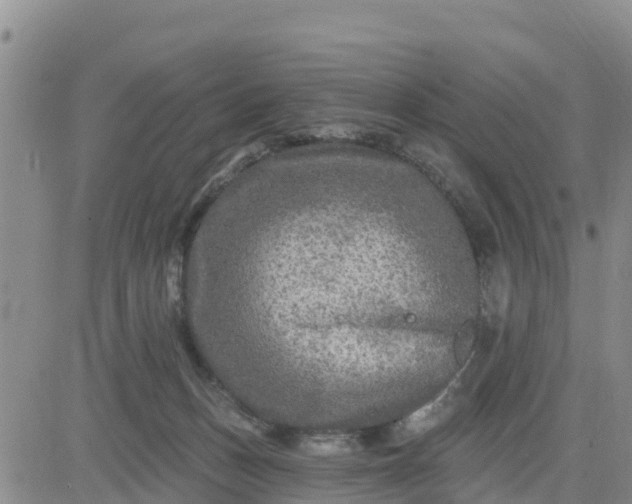 X0000080690175200612301458