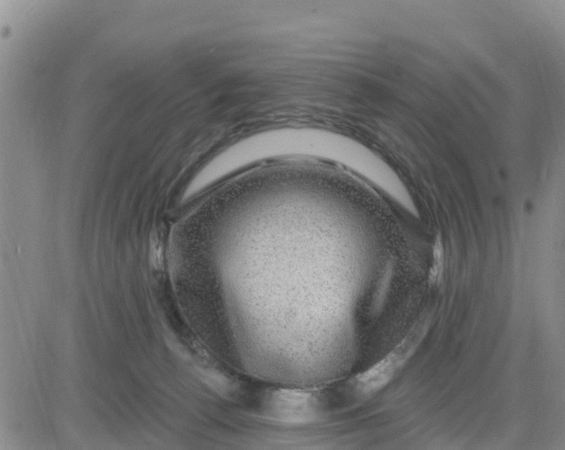 X0000080690176200612301458