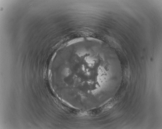 X0000080690177200612301458