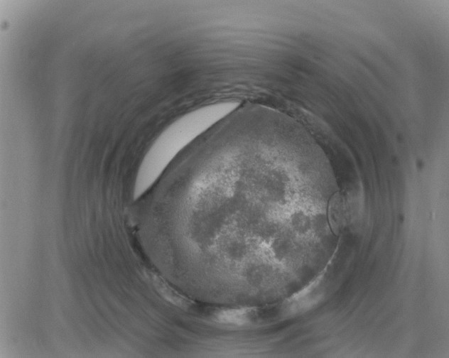 X0000080690178200612301458