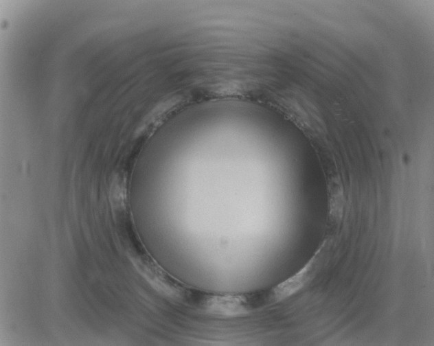 X0000080690179200612301458