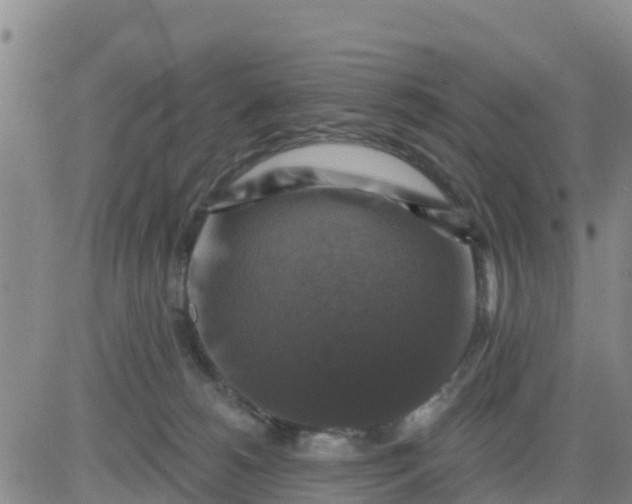 X0000080690180200612301458