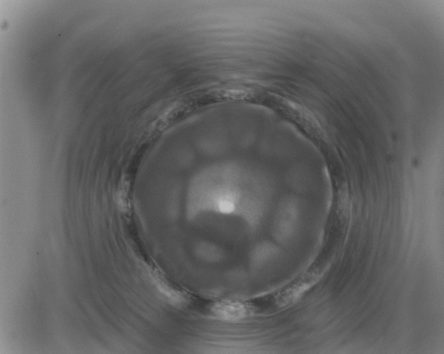 X0000080690181200612301458