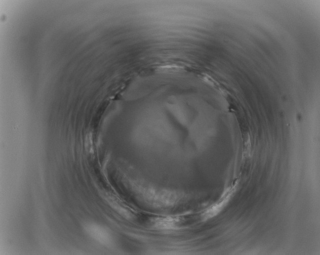 X0000080690182200612301458