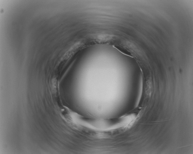 X0000080690184200612301458