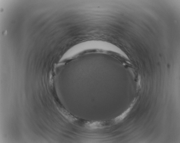 X0000080690186200612301458