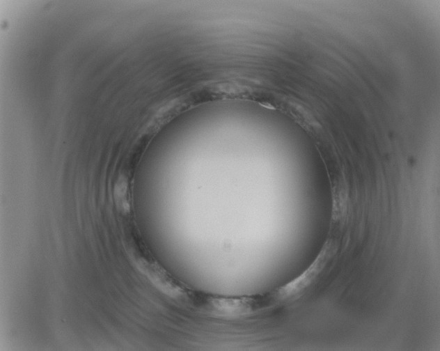 X0000080690187200612301458