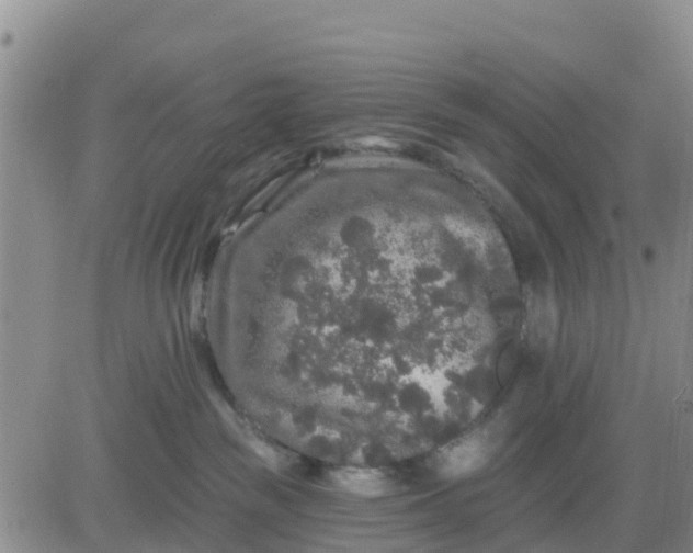 X0000080690189200612301458