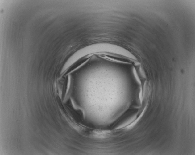 X0000080690190200612301458